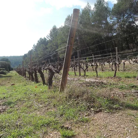 Le Petit Paradis - La Provencale Bed & Breakfast *