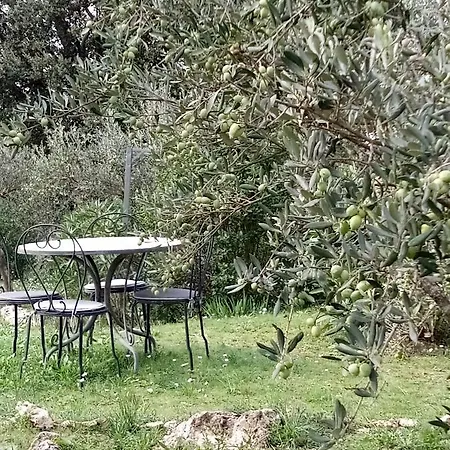 Le Petit Paradis - La Provencale * Lorgues