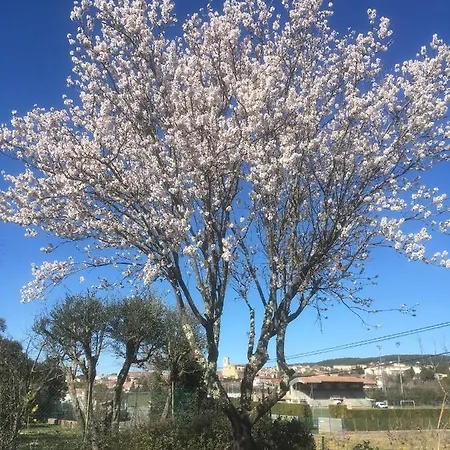 Le Petit Paradis - La Provencale * Lorgues